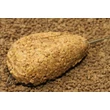 Avid Carp - Method Feeder Small/42,5g