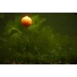 Carp ´R´ Us - Weedy Wrap - Brown 2m