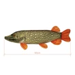 Delphin Plyšový Šťuka PIKY 60cm