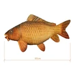 Delphin Plyšový Kapor CARPY 60cm