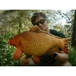 Delphin Plyšový Kapor CARPY 60cm