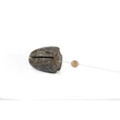 FOX - EDGES™ REMOVABLE FLYING BACK WEIGHTS