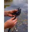 FOX Black Label QR Powerpoint Bankstick 6"