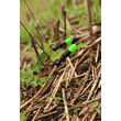 FOX Bobbin Black Label Stealth Bobbins Green - Zelená