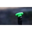 Korda - Zig Magnet