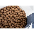 Nash - Boilies Monster Shrimp 5kg 24mm