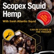 Nash - Scopex Squid Hemp 2,5 l