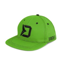 Delphin - Šiltovka RAWER SnapBack