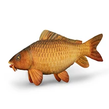Delphin Plyšový Kapor CARPY 60cm