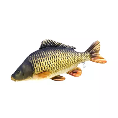 Plyšová ryba Gaby Kapor Mini 36cm