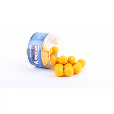 NASH Instant Action Tandoori Spice 15mm 40g